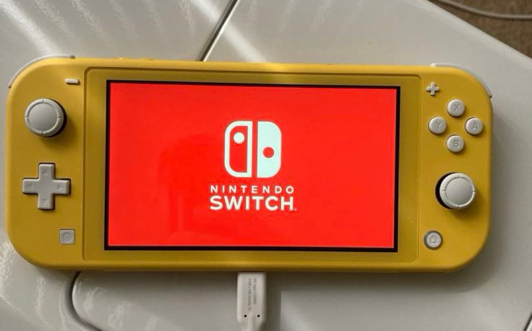 【動作確済】ニンテンドースイッチ　ライト　Switch モンハン　ライズ　セット