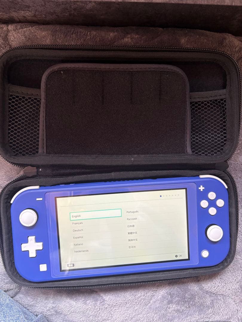 Nintendo Switch Lite ブルー 本体と付属品