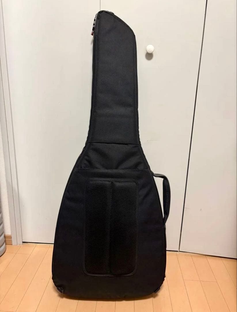 [専用]FenderフェンダーエレアコHighwaySeries ギグバッグ付属