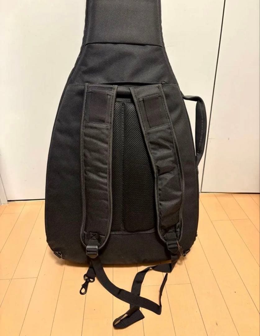 [専用]FenderフェンダーエレアコHighwaySeries ギグバッグ付属