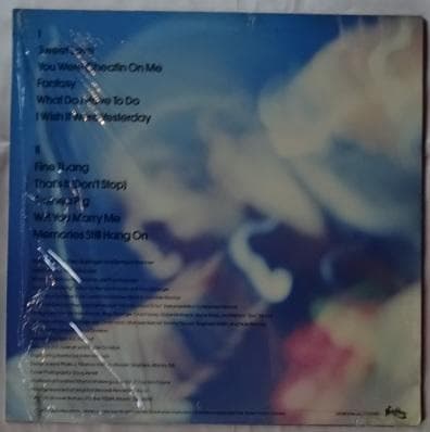 洋楽 BRONNER BROTHERS/FANTASY LP