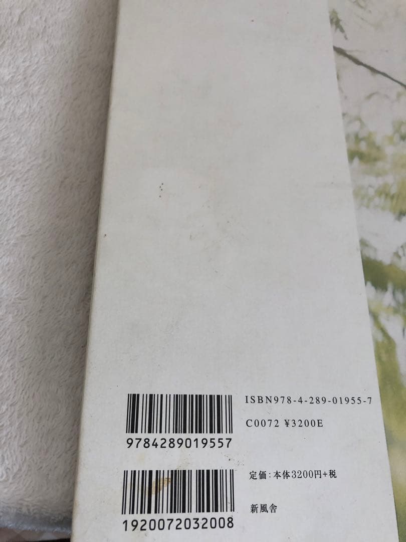 【新品】Atmosphere Jun Imajo 今城 純