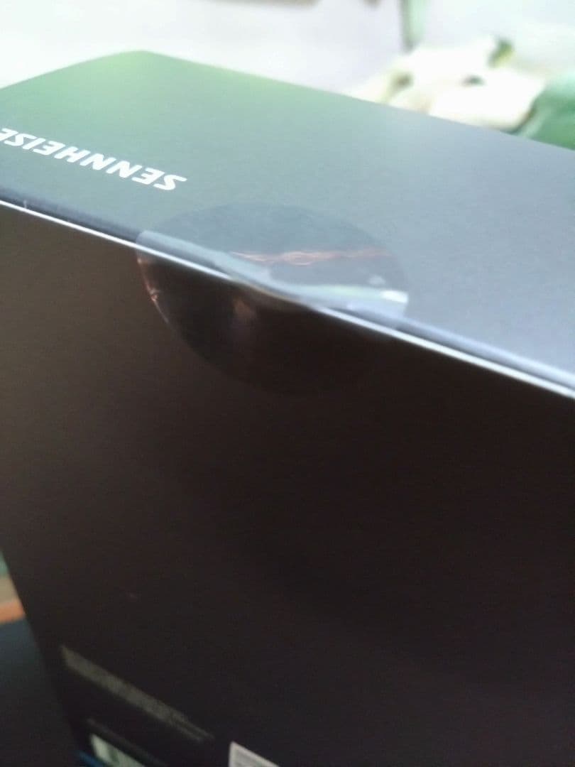 イヤホン Sennheiser IE 600