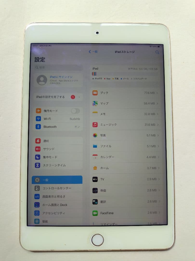 iPad mini (第4世代) WiFi 128GB
