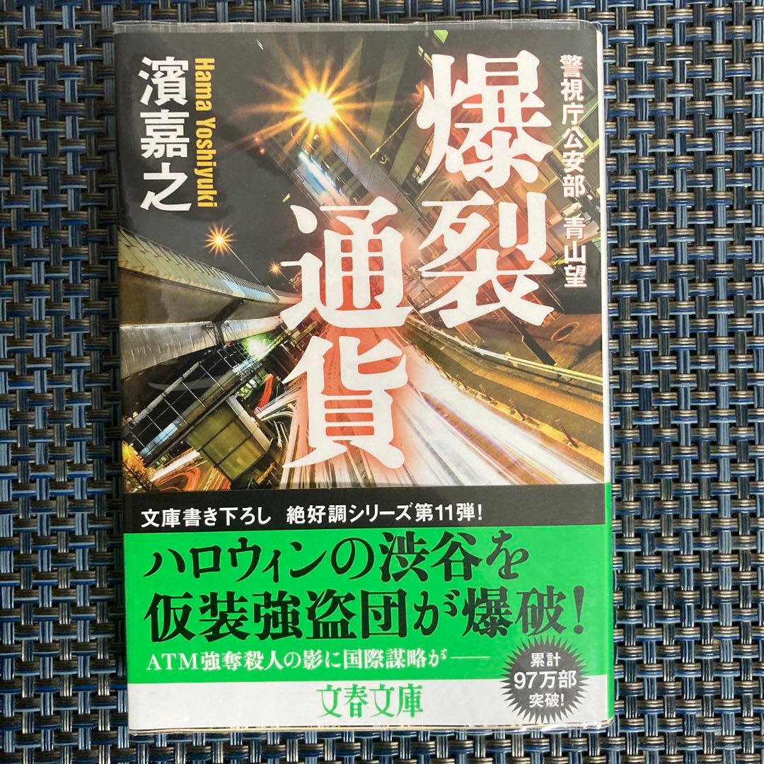 濱嘉之　警視庁公安部・青山望シリーズ全12冊まとめ売りセット