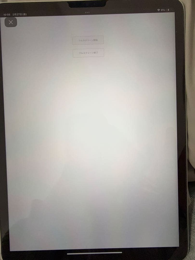 iPad Pro11インチ第一世代シルバーWi-Fi+Cellular モデル