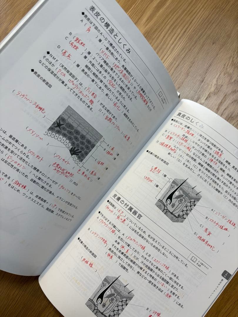 ⭐︎限定価格⭐︎日本化粧品検定1級・2級・3級対策テキスト +1級・2級対策問題集