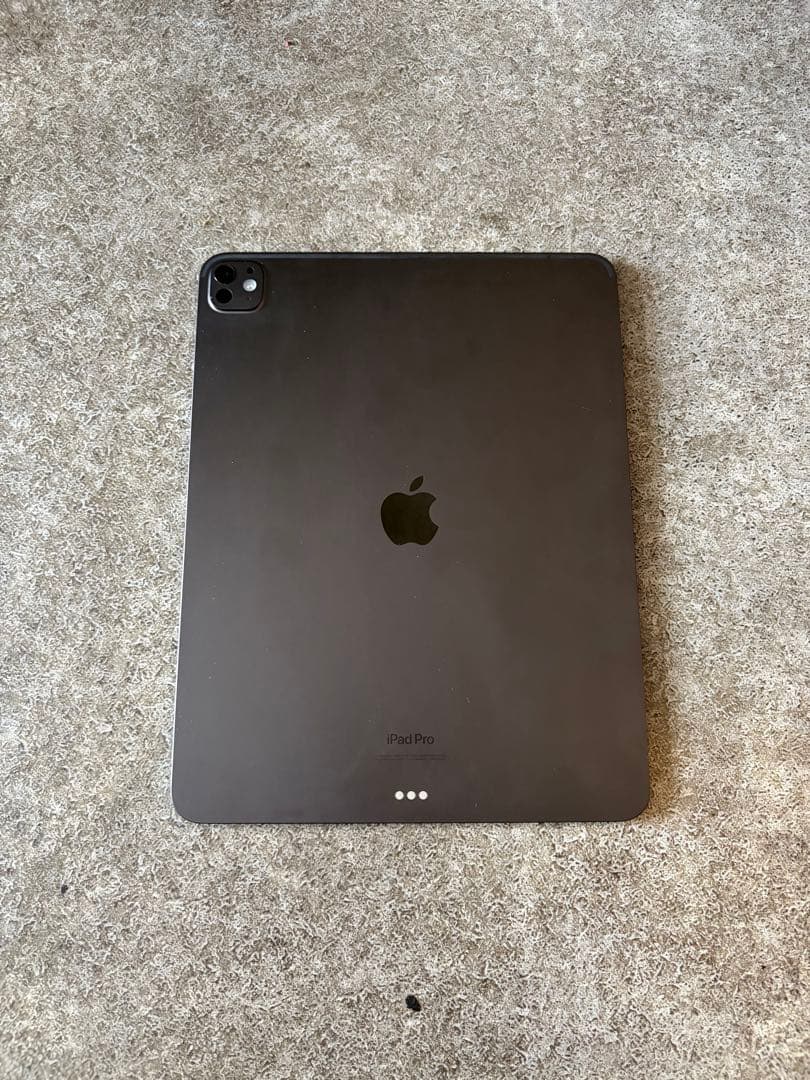 P*e様 Apple iPad Pro 13インチ M4 256GB penci