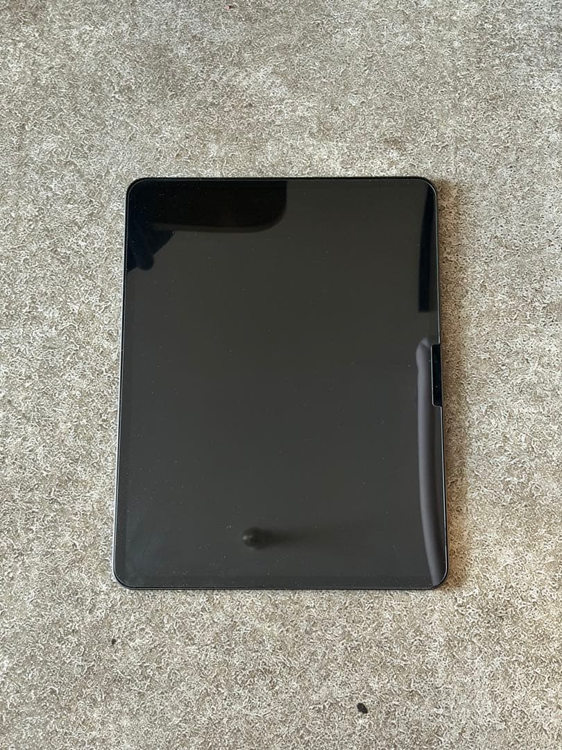 P*e様 Apple iPad Pro 13インチ M4 256GB penci