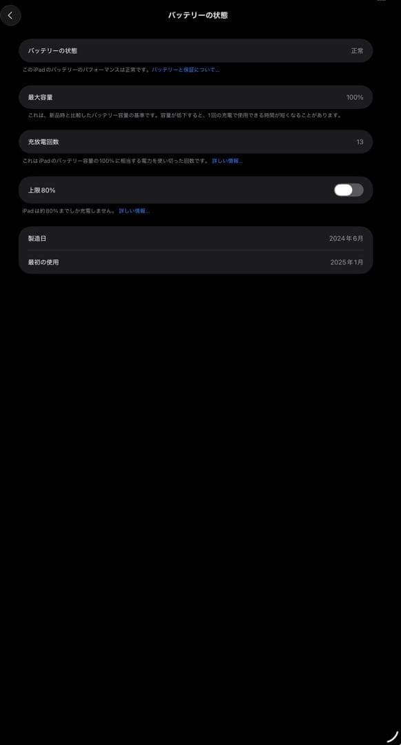 P*e様 Apple iPad Pro 13インチ M4 256GB penci