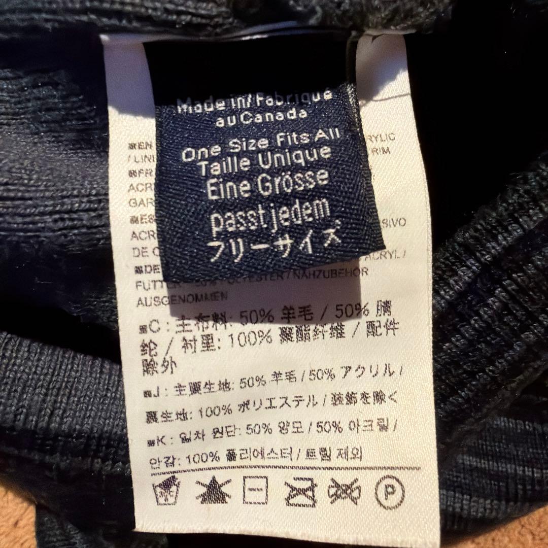 Arc'teryx ストライプ ニット帽 フリーサイズ