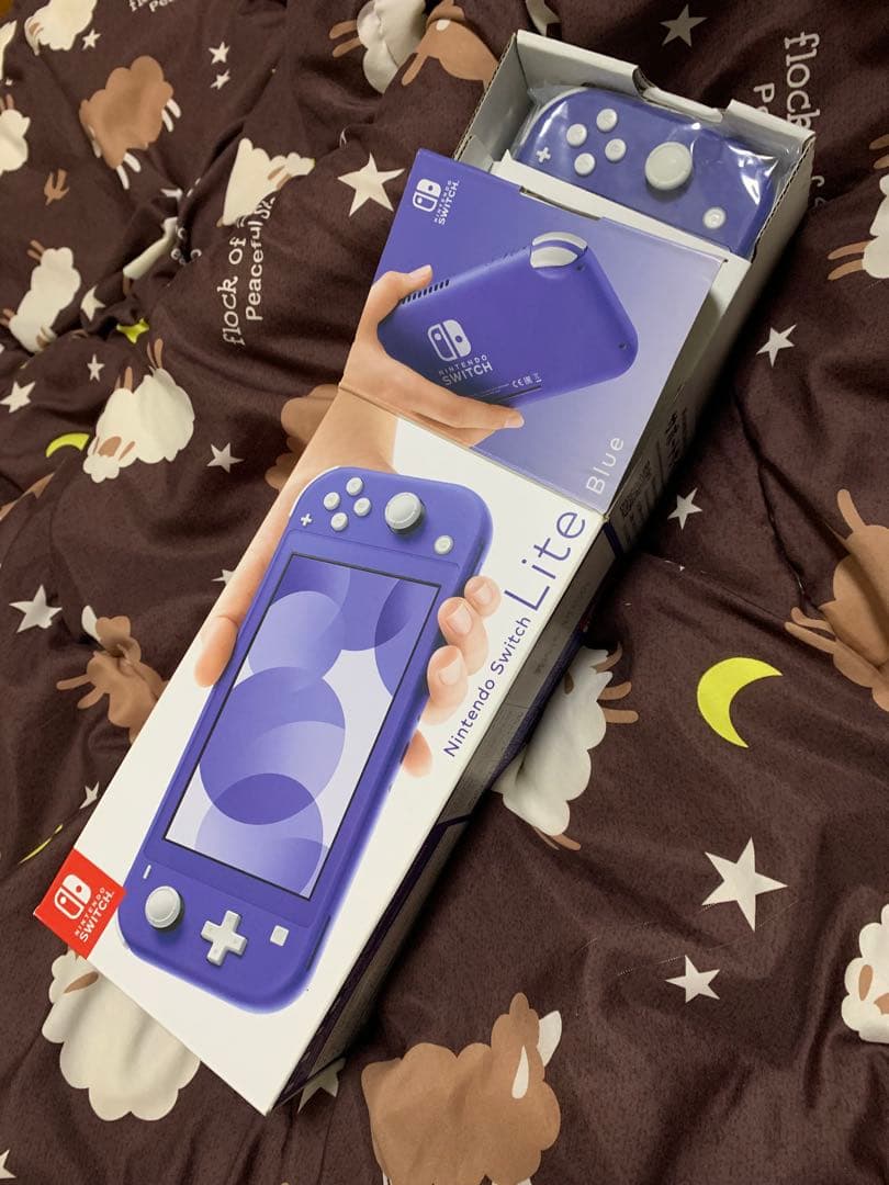Switch Nintendo Lite ブルー　中古美品