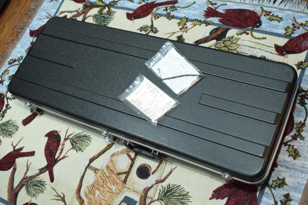 SAITO S-622 Ash 2H Black ハードケース付 2016年製