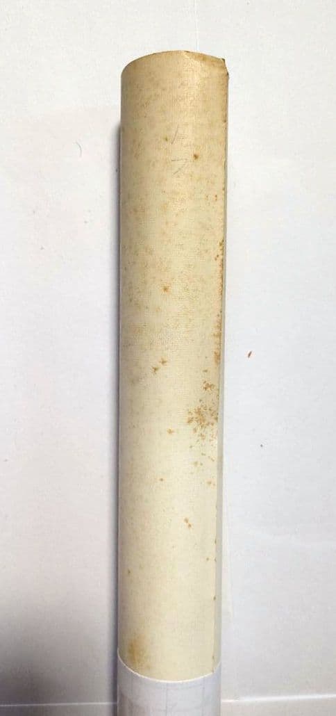 クールス 1975年 第一期メンバー ポスター 舘ひろし 水口晴幸 正規購入品
