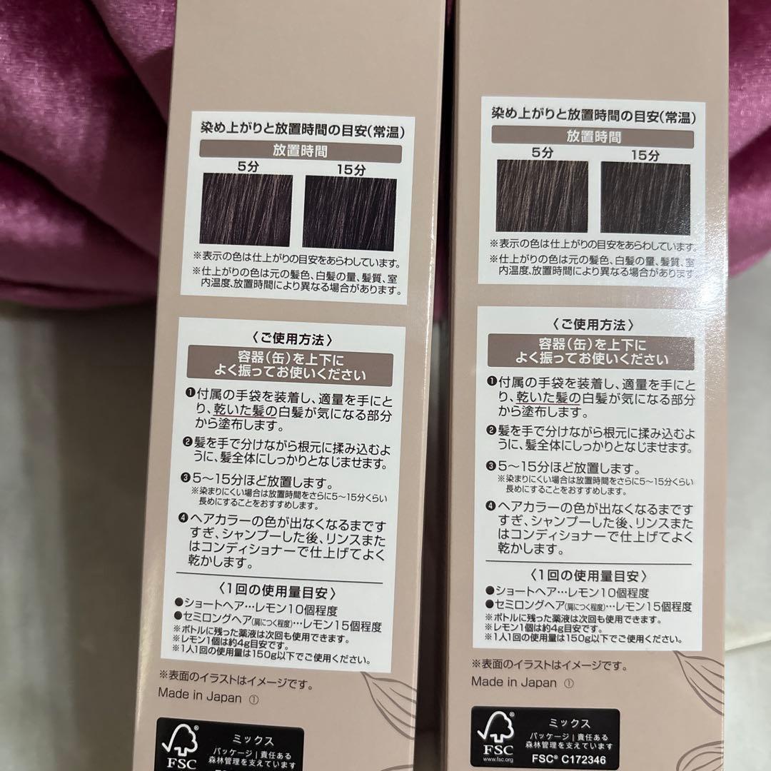 新品未使用エクラ　ボタニカルエアカラーフォームup 2本セット