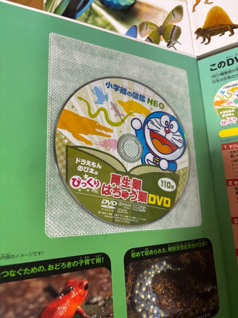 小学館の図鑑NEOネオ シリーズ 10冊セット DVD付き 美品