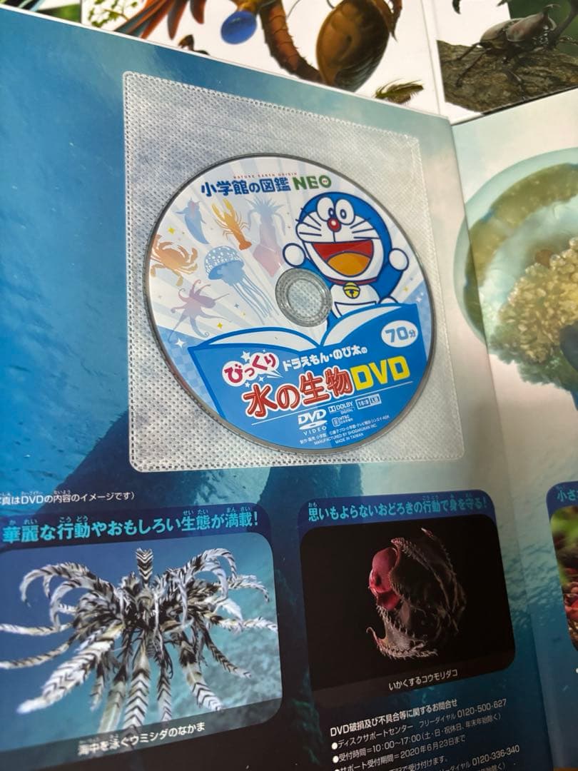 小学館の図鑑NEOネオ シリーズ 10冊セット DVD付き 美品