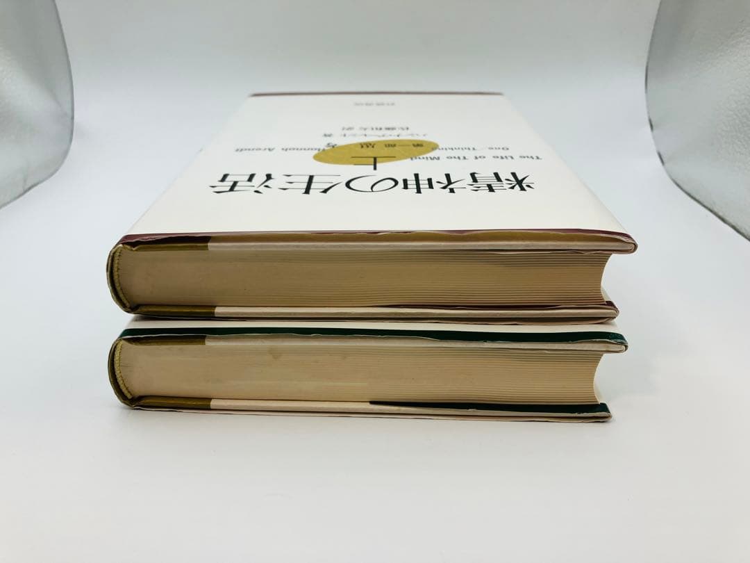 精神の生活 上下巻　2冊セット　ハンナ・アーレント