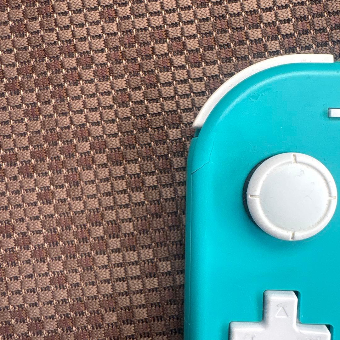 Nintendo Switch Lite 本体 【早い者勝ち】