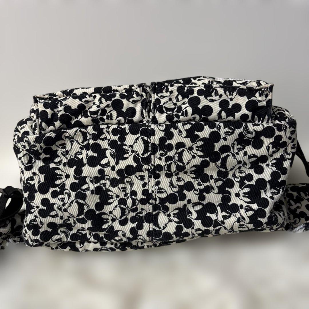 【激レア品】希少 PORTER ディズニー BEAMS ボディバッグ 2way