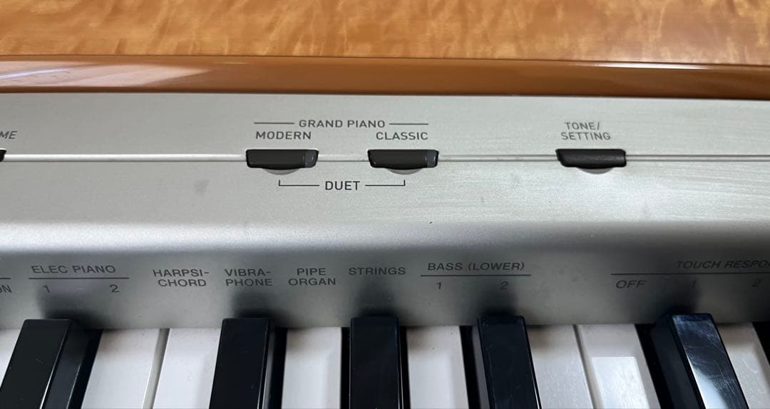電子ピアノ　CASIO Privia PX-110（スタンドなど付属品つき）