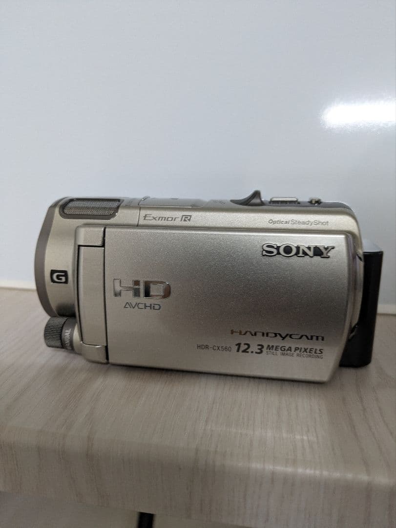 SONY HDR-CX560 1230万画素 ビデオカメラ 本体 純正ケース付き