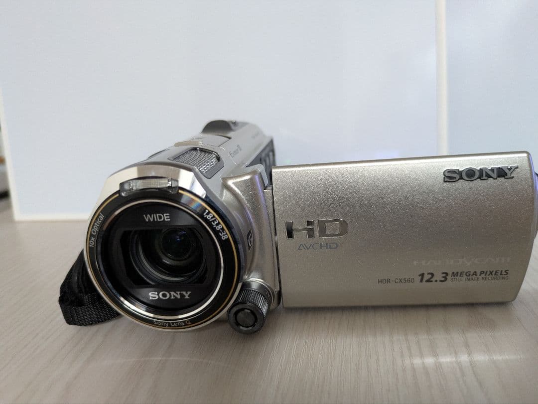 SONY HDR-CX560 1230万画素 ビデオカメラ 本体 純正ケース付き