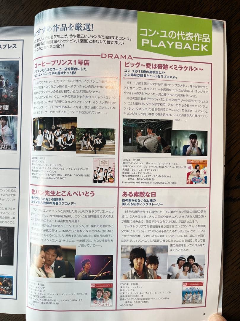 レア商品・韓流ラブストーリー完全ガイド 愛の炎号 コン・ユ トッケビ DVD付