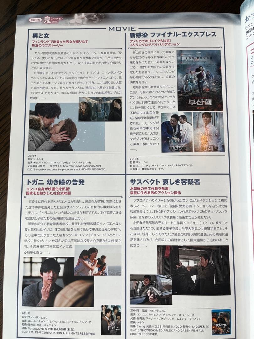 レア商品・韓流ラブストーリー完全ガイド 愛の炎号 コン・ユ トッケビ DVD付