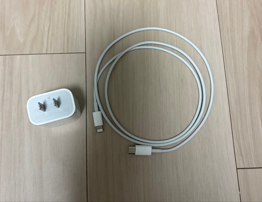 【ケース・フィルム・充電器等付き】iPad 第9世代 64GB Wi-Fiモデル