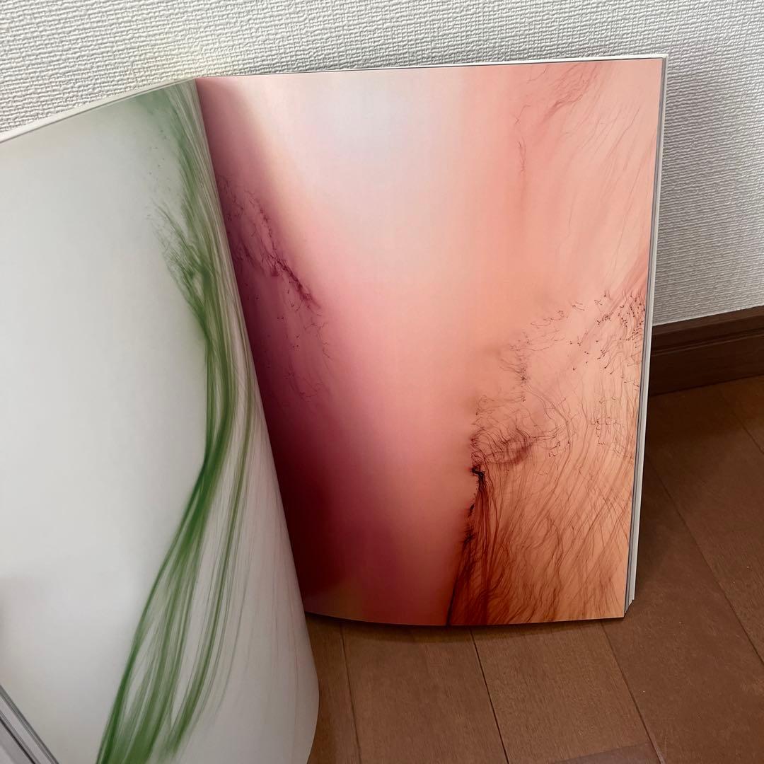 Wolfgang Tillmans 『truth study center』