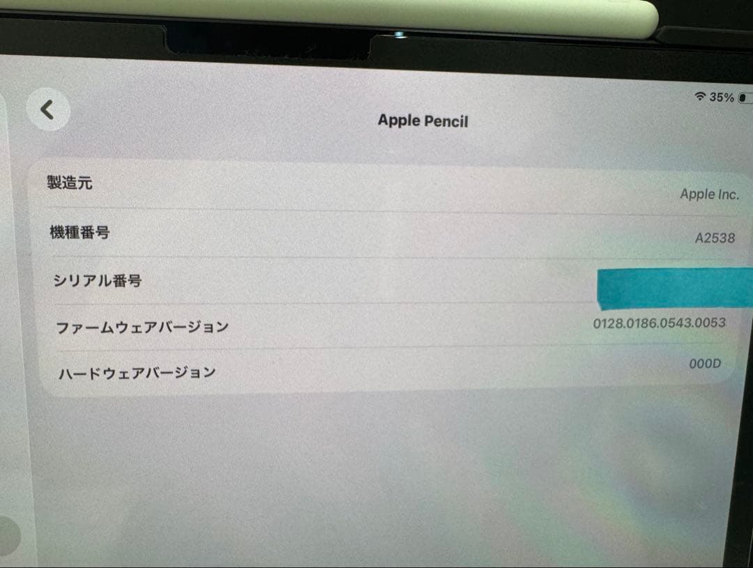 iPad Pro11インチ M4 256GB + Pencil Pro +おまけ