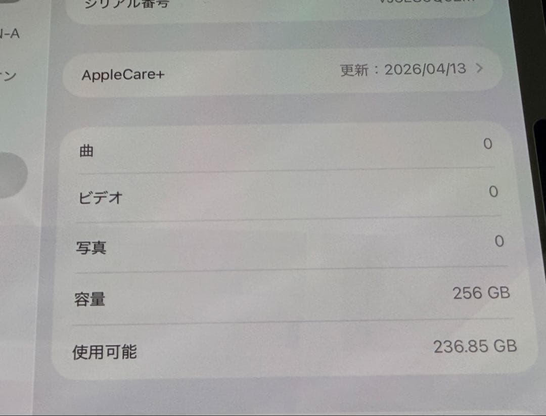 iPad Pro11インチ M4 256GB + Pencil Pro +おまけ