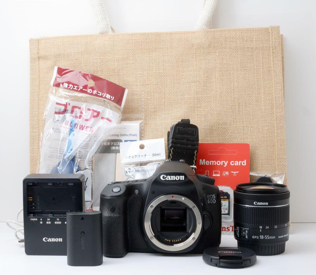 STMレンズ！Canon EOS 60D★美品★転送OK★本格一眼レフ