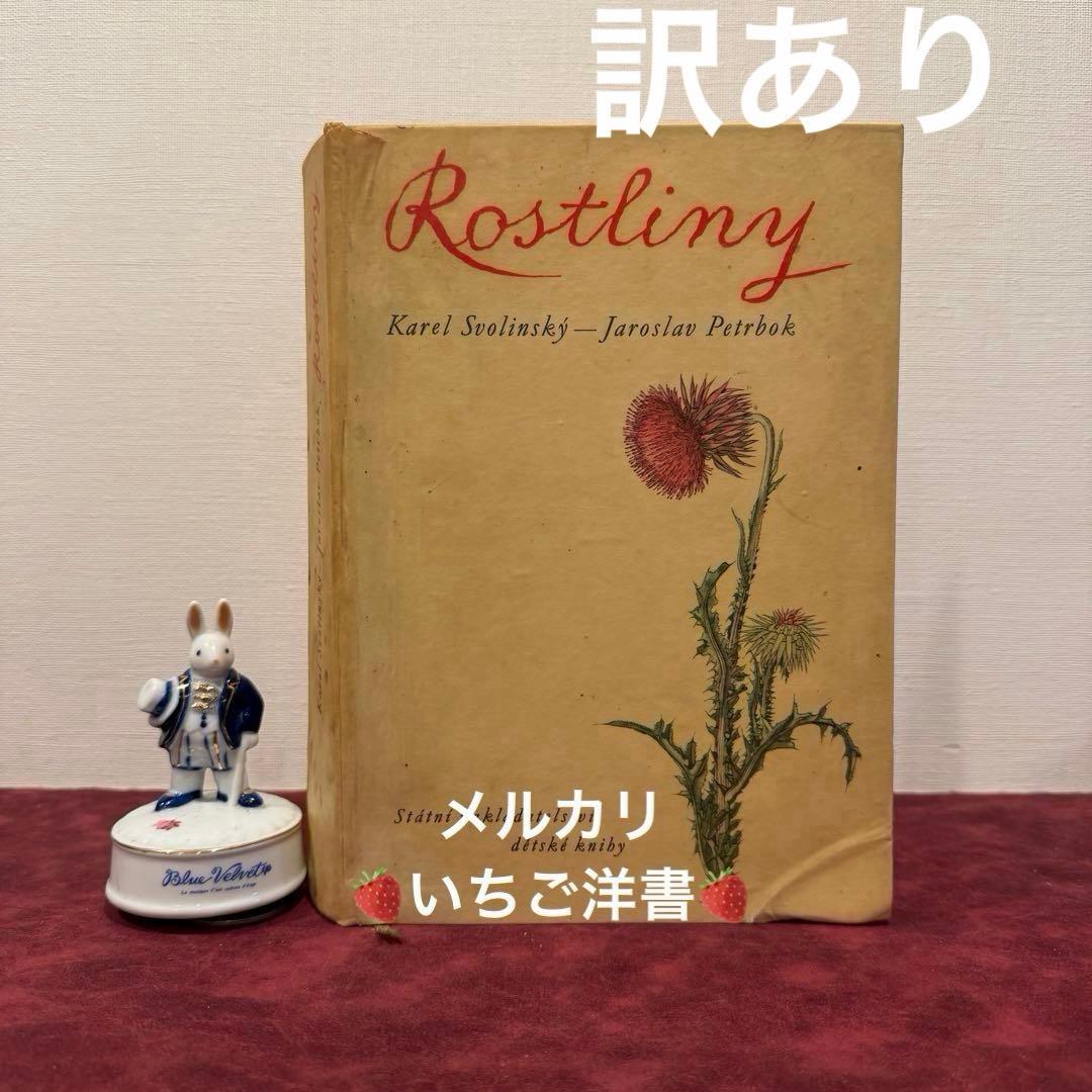 ❤️アイズピリ ❤️訳ありセール46B①1960年チェコ植物画集　洋書