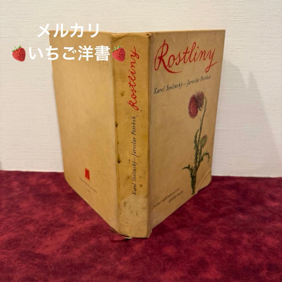 ❤️アイズピリ ❤️訳ありセール46B①1960年チェコ植物画集　洋書