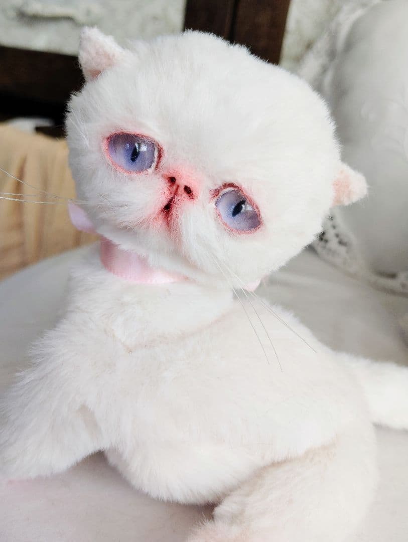 おふぅちゃんオーダー❤三つ子♡エキゾチック子猫ちゃん♡アートドール♡ぬいぐるみ