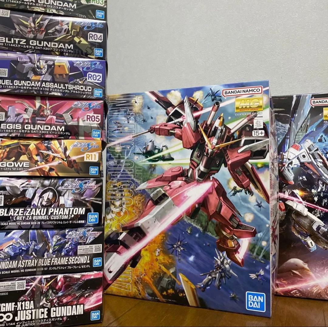 り*う様 SEED/DESTINY MG/HG ガンプラ 10点まとめ売り ジャ