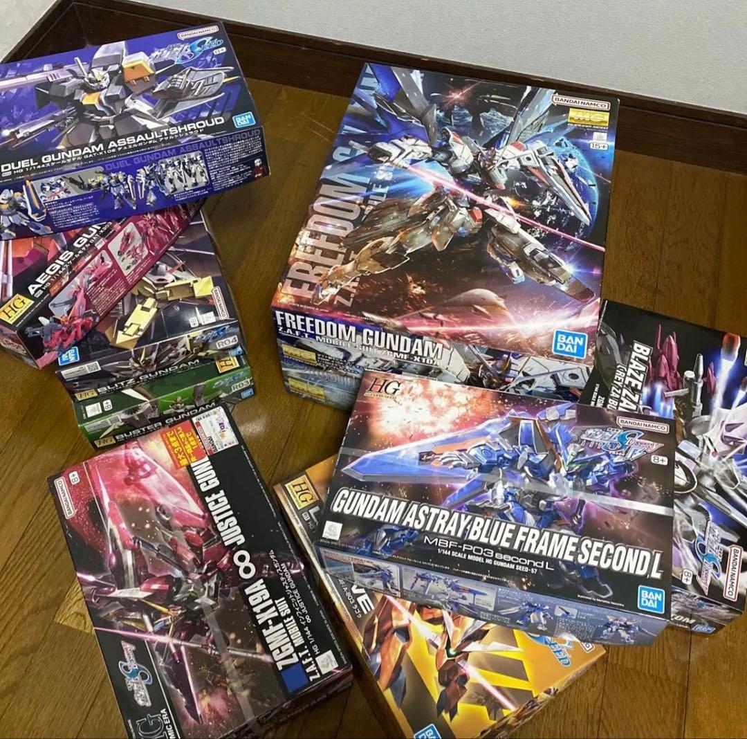 り*う様 SEED/DESTINY MG/HG ガンプラ 10点まとめ売り ジャ