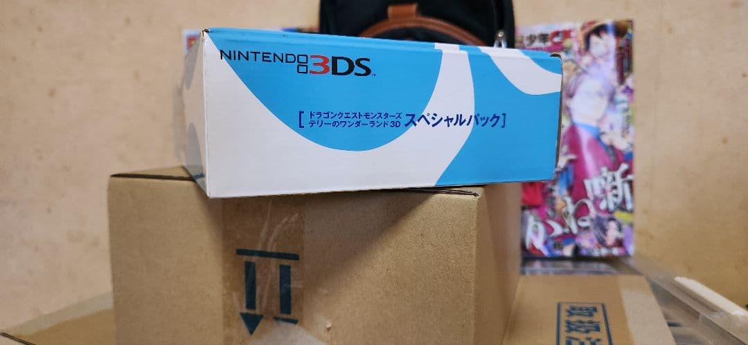Nintendo 3DS ドラクエ テリーのワンダーランド スペシャルパック