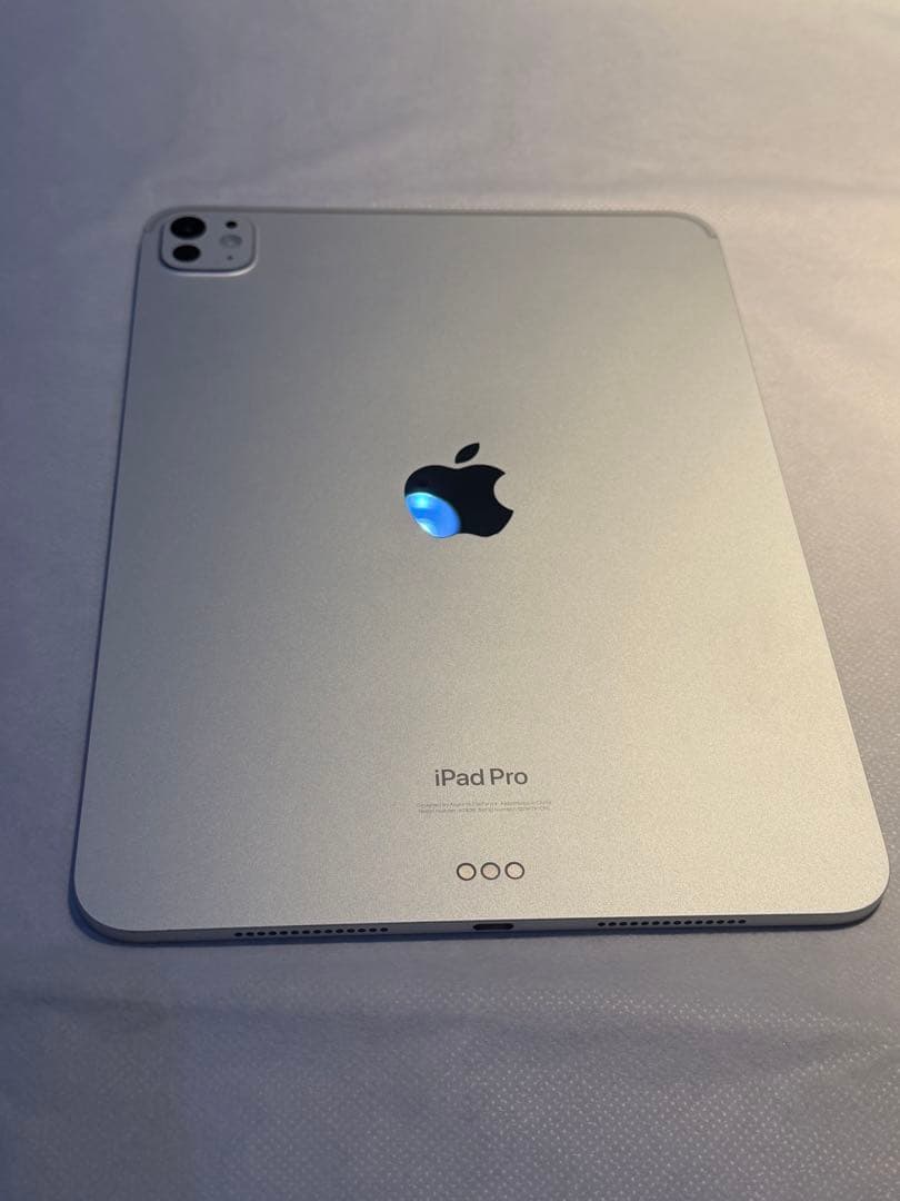 【3/7までの出品、備品新品未使用】iPad Pro（M4）11インチ WiFi