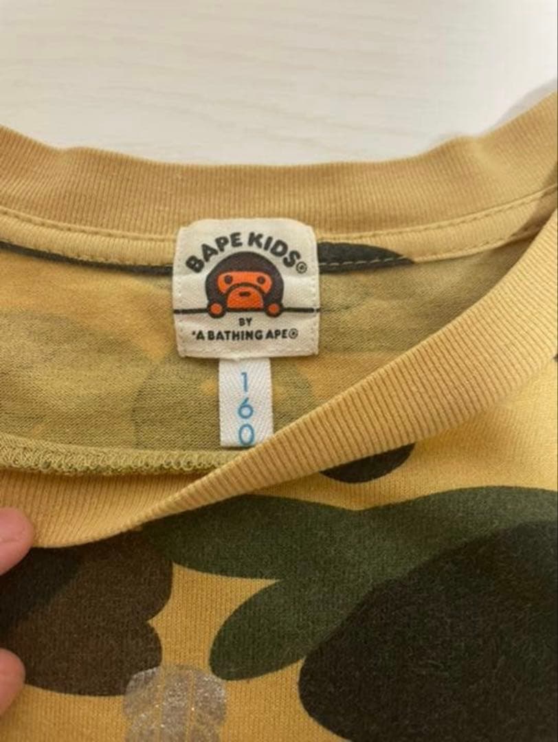 シャークtシャツ