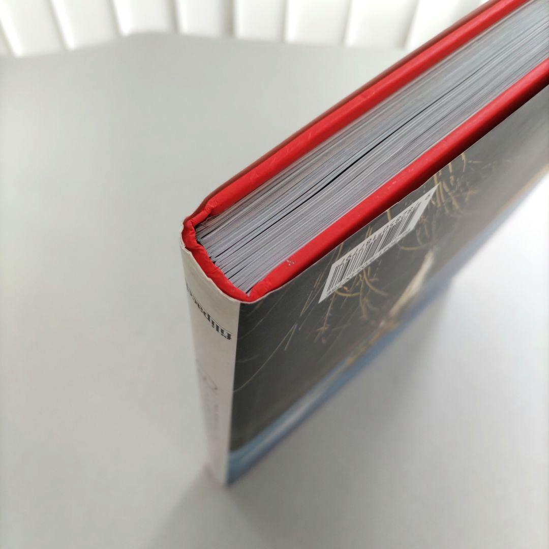 Gilles Bensimon Photographiesジル・ベンシモン 写真