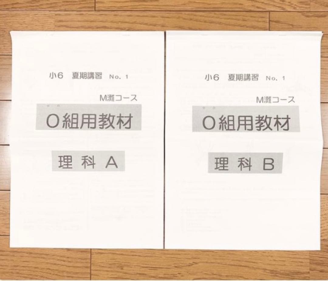 浜学園 小6 夏期講習 理科 M灘コース 0組用教材 テキストまとめ売り