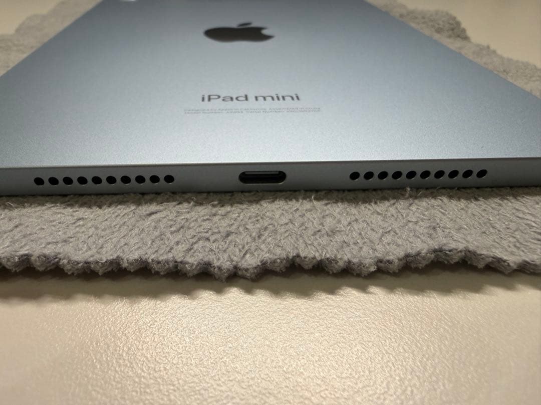 Apple iPad mini ブルー 本体 256GB バッテリー容量100%