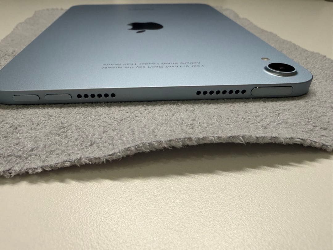 Apple iPad mini ブルー 本体 256GB バッテリー容量100%