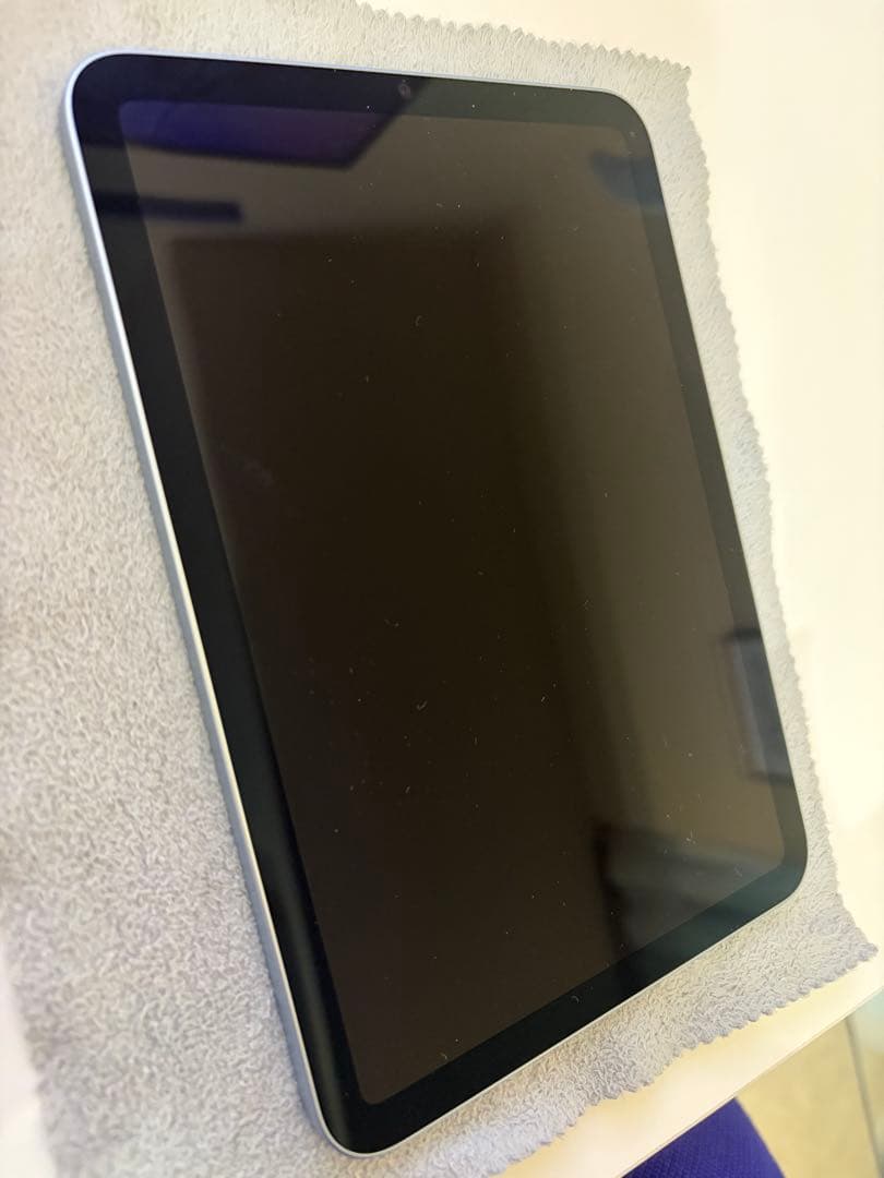 Apple iPad mini ブルー 本体 256GB バッテリー容量100%