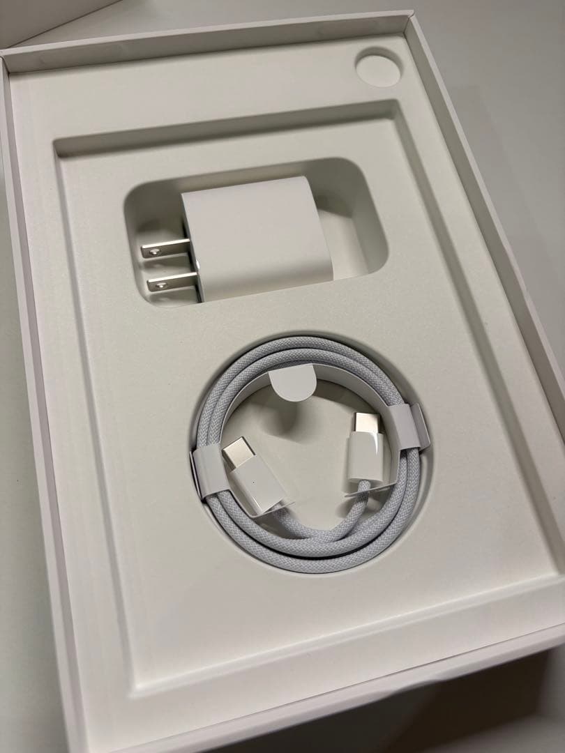Apple iPad mini ブルー 本体 256GB バッテリー容量100%