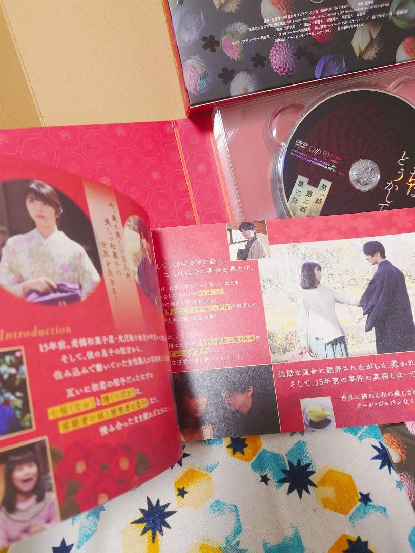 ☆美品☆ 私たちはどうかしている　DVD-BOX　5枚組　特典付　和菓子　ドラマ