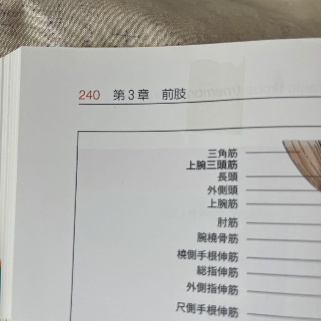 獣医解剖学 増補改訂第2版 上巻